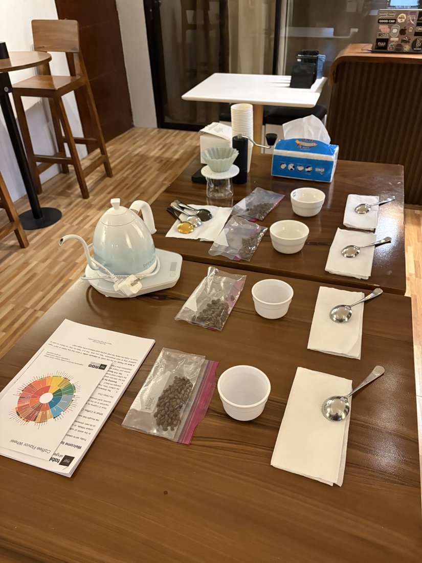 Hands-on cupping activity during a Kaizen Spaces workshop